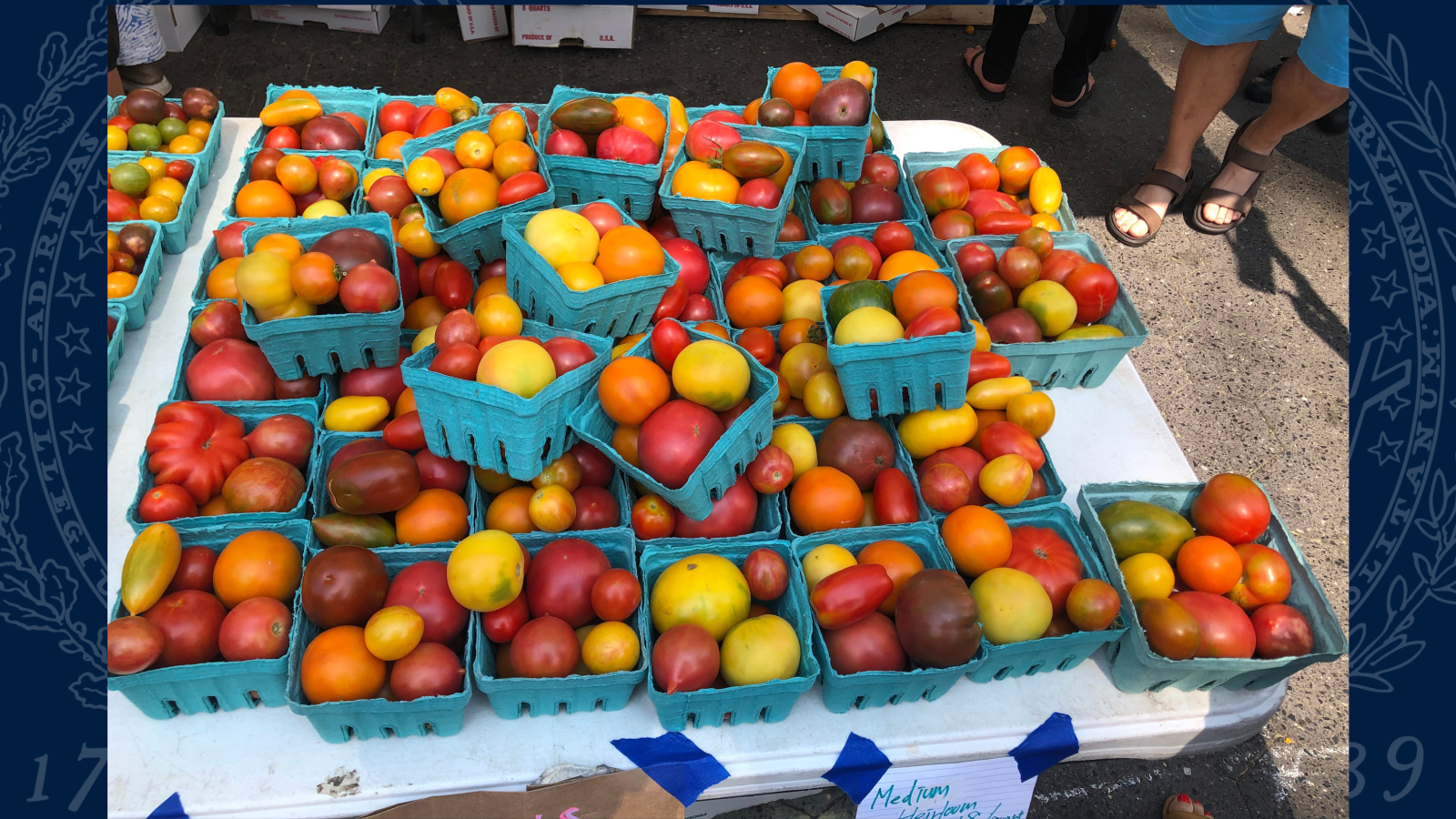 Bright yellow, orange, and red tomatoes in green containers at the farmers market.